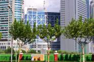 sse_infonet-01.jpg
