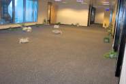 sse_infonet-05.jpg